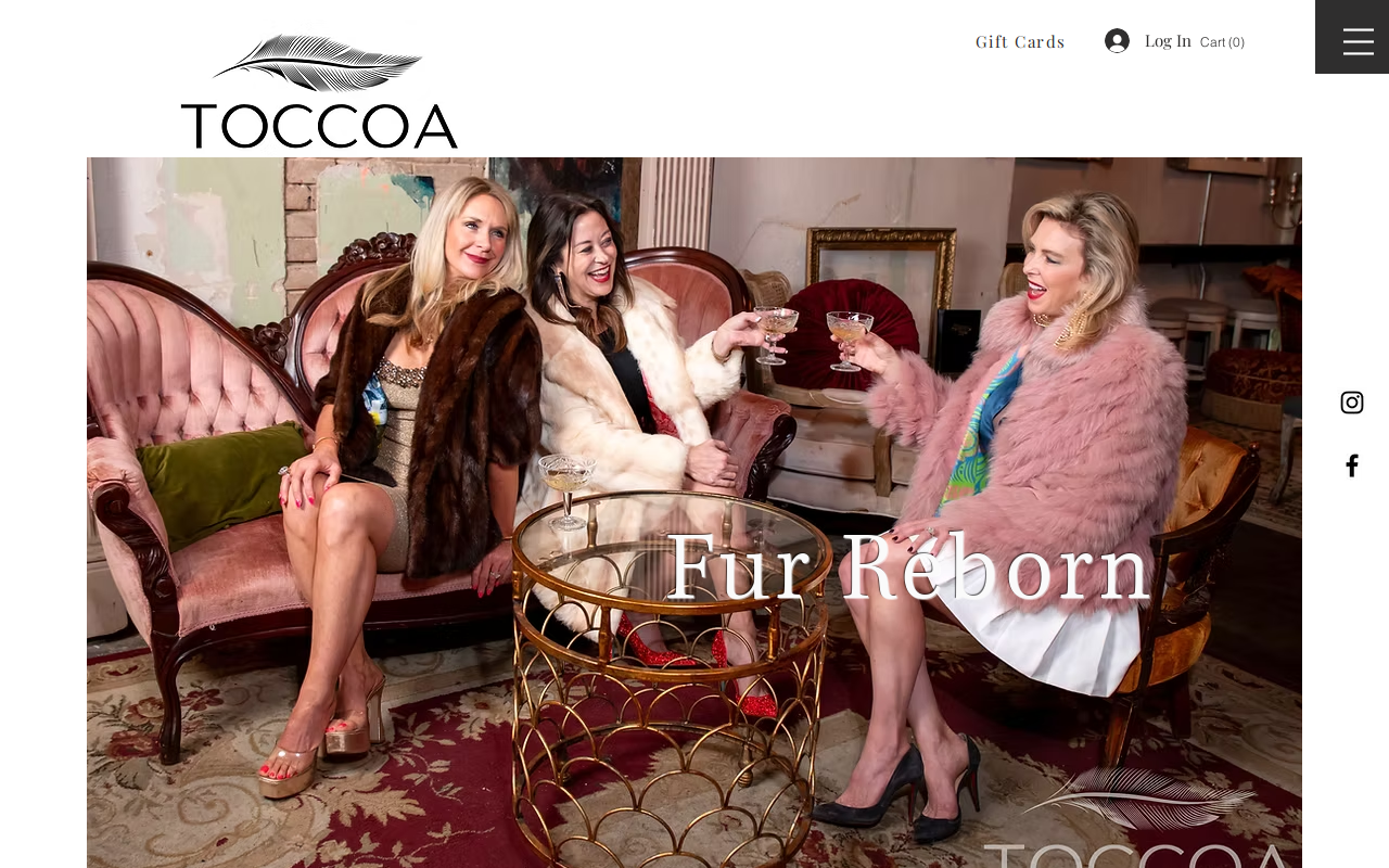 TOCCOA website preview