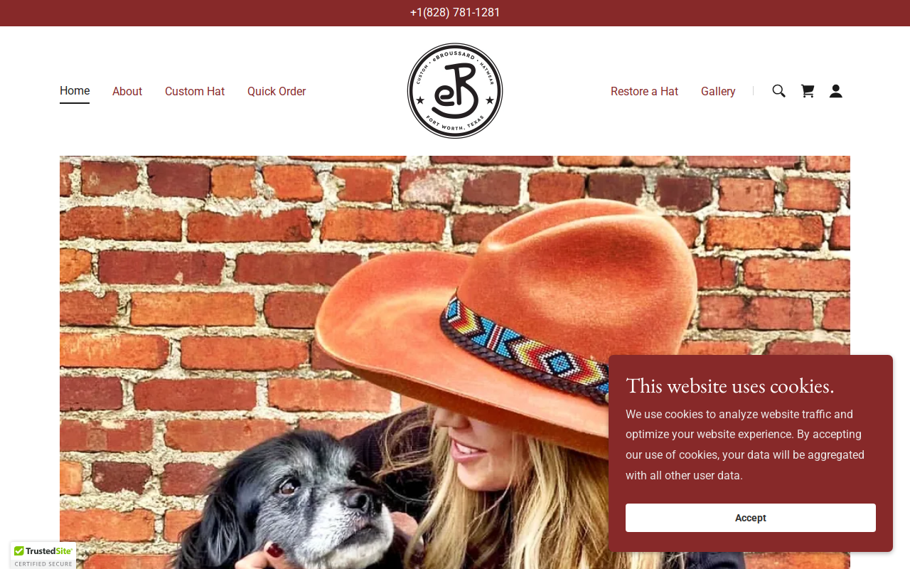 eBroussard website preview
