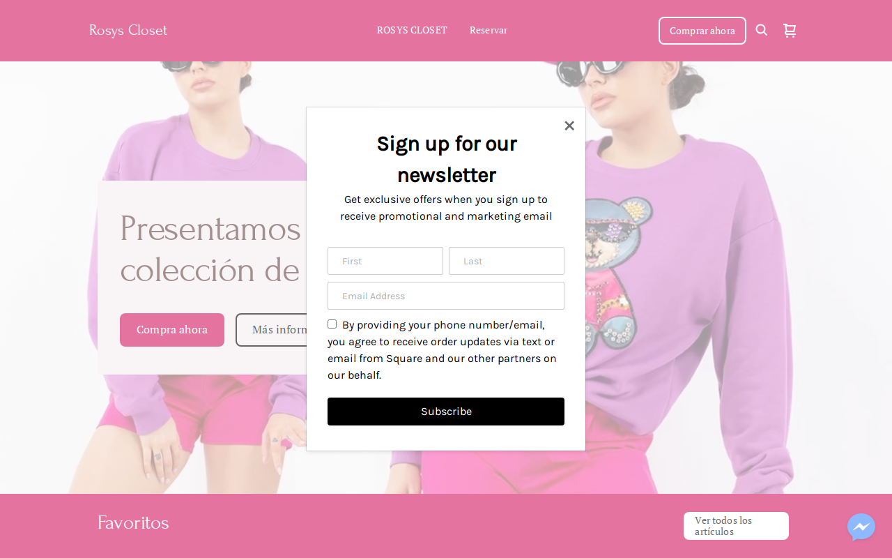 Rosys Closet website preview