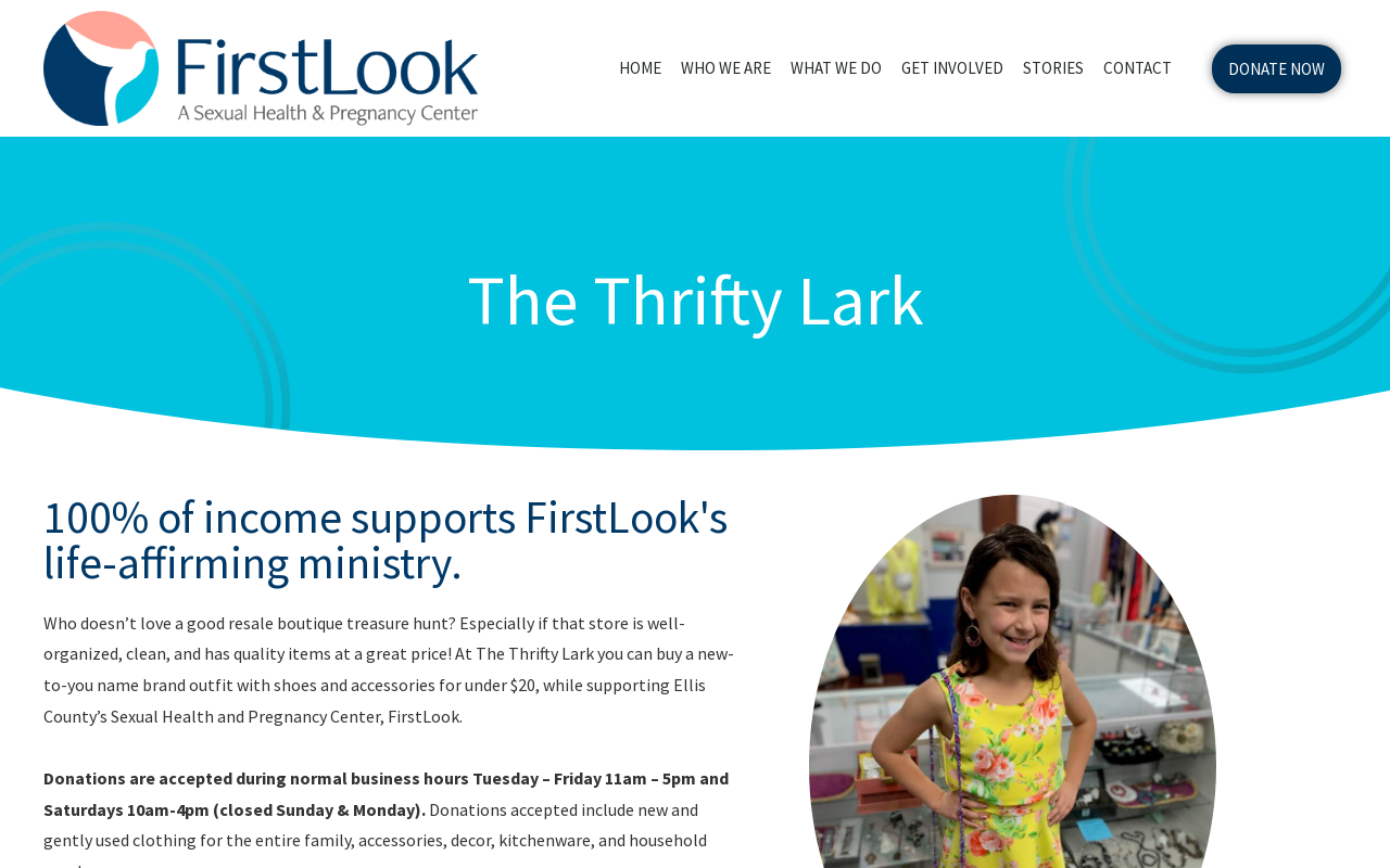 The Thrifty Lark website preview