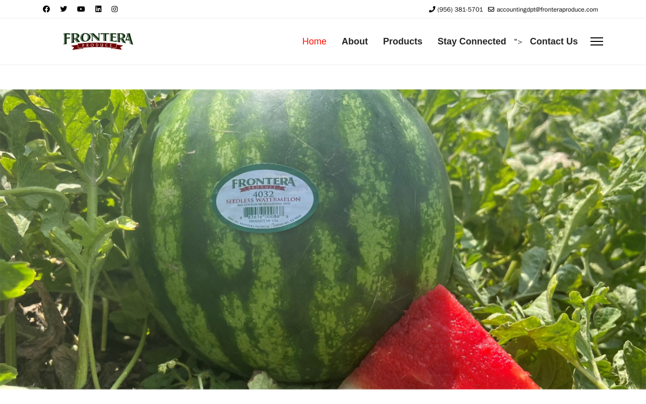 Bee Back website preview