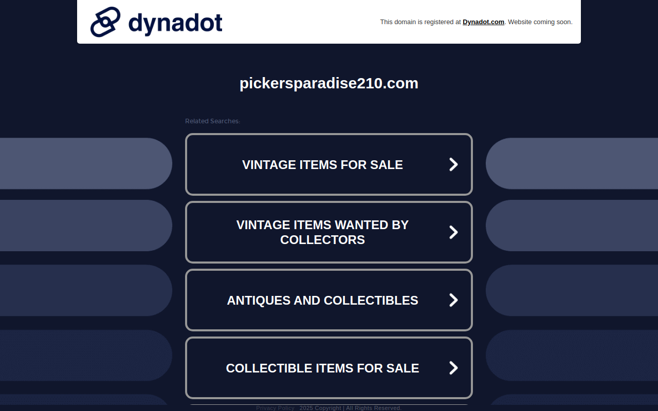 Picker's Paradise website preview