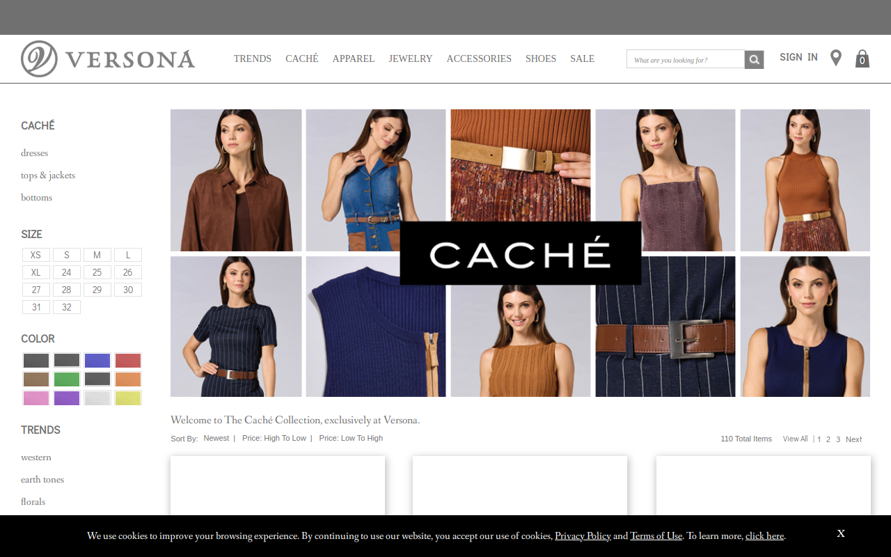 The Cactus Flower website preview