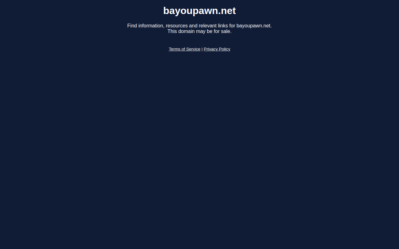 Bayou Pawn website preview