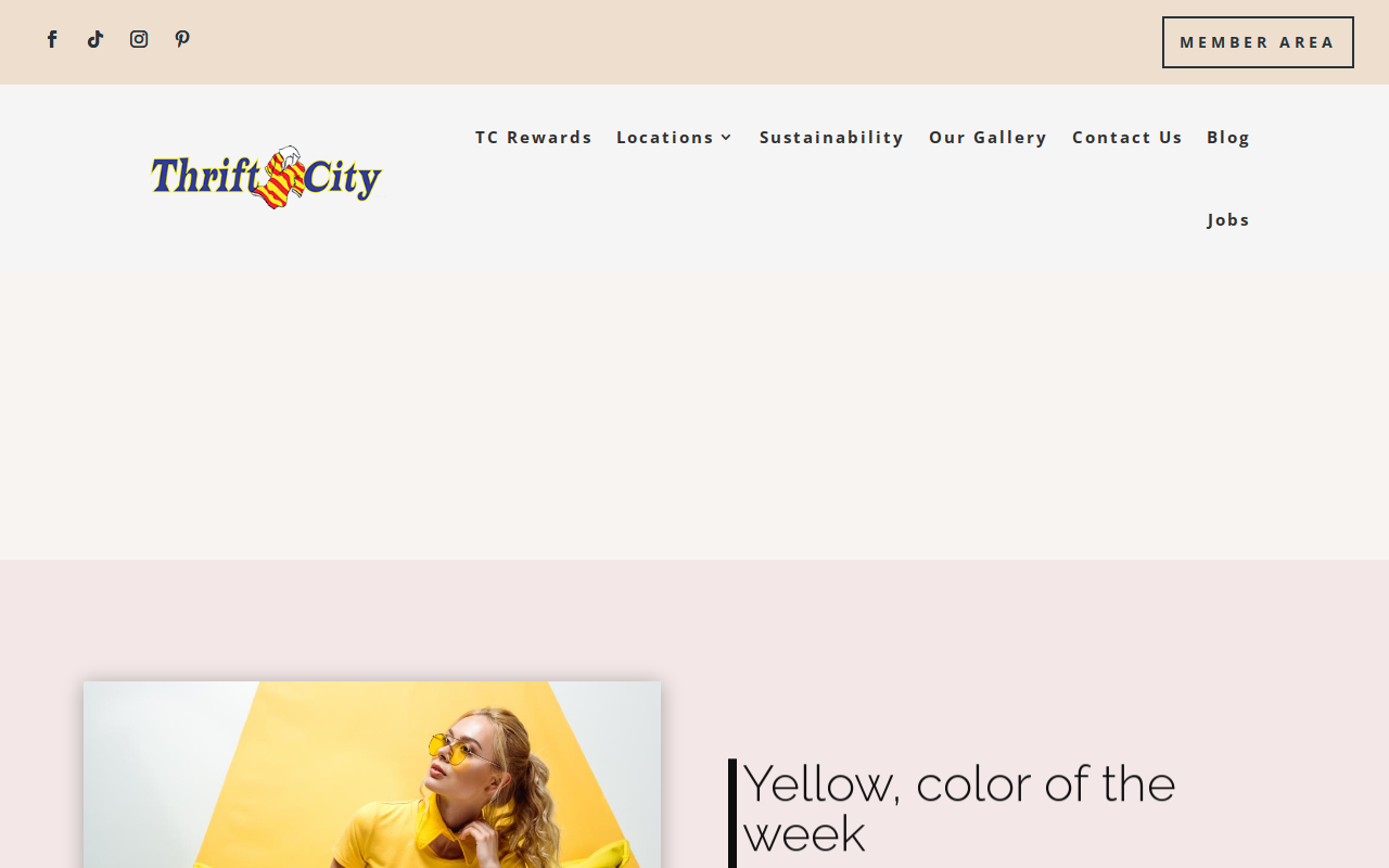 Shop Thrift City website preview