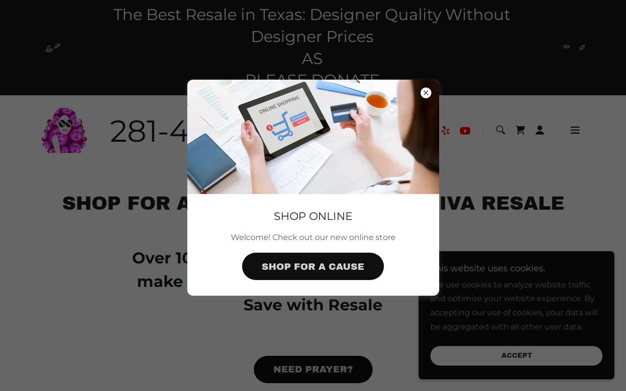 Designer Diva Resale website preview