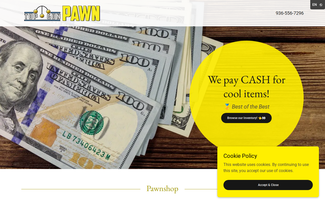 Top Gun Pawn website preview