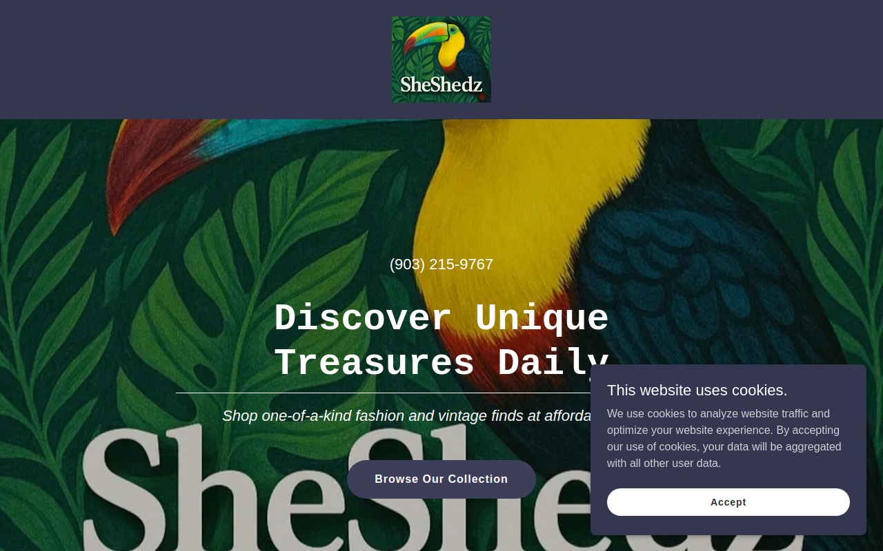 Sheshedz Thrift House website preview