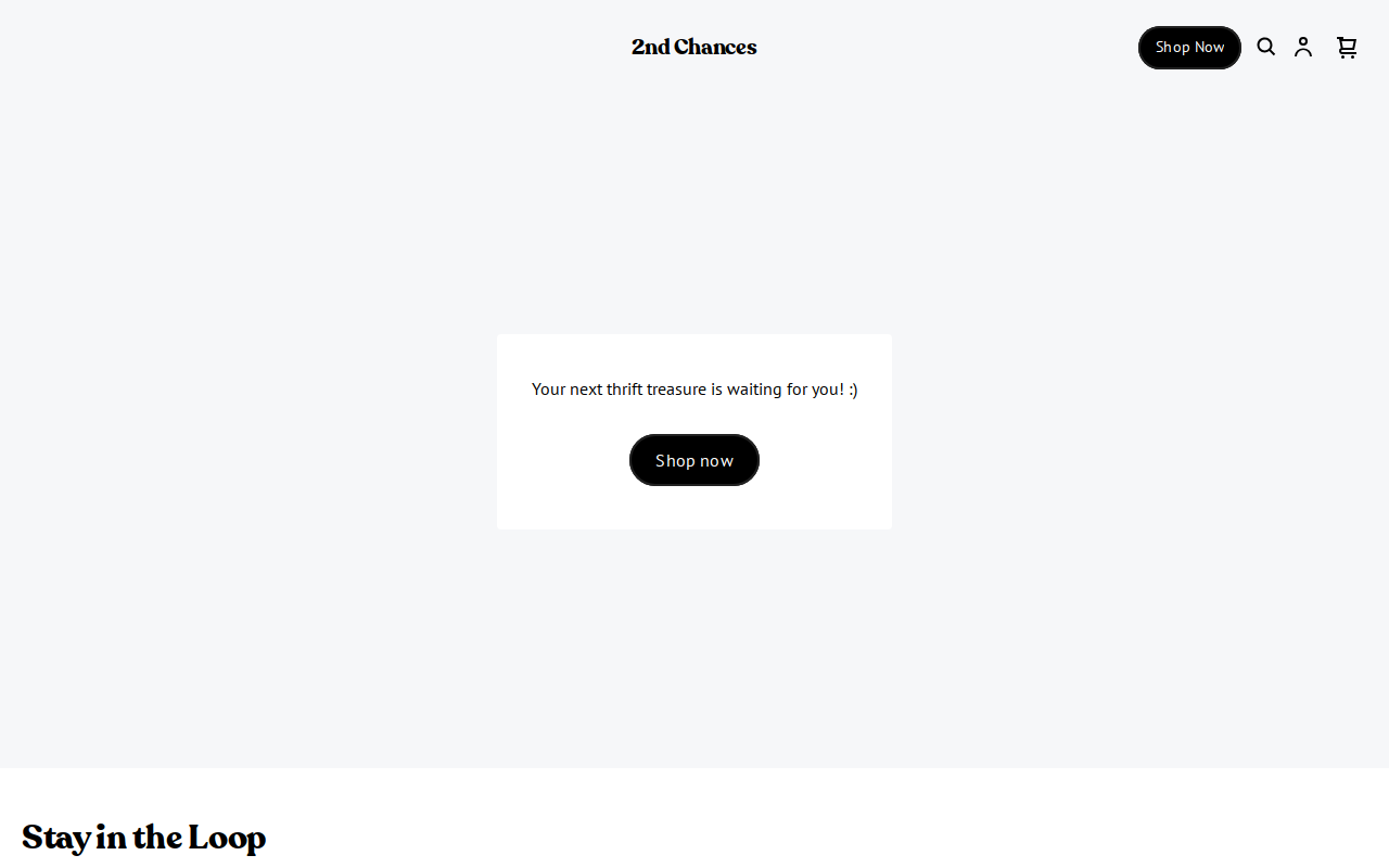 2nd Chances website preview