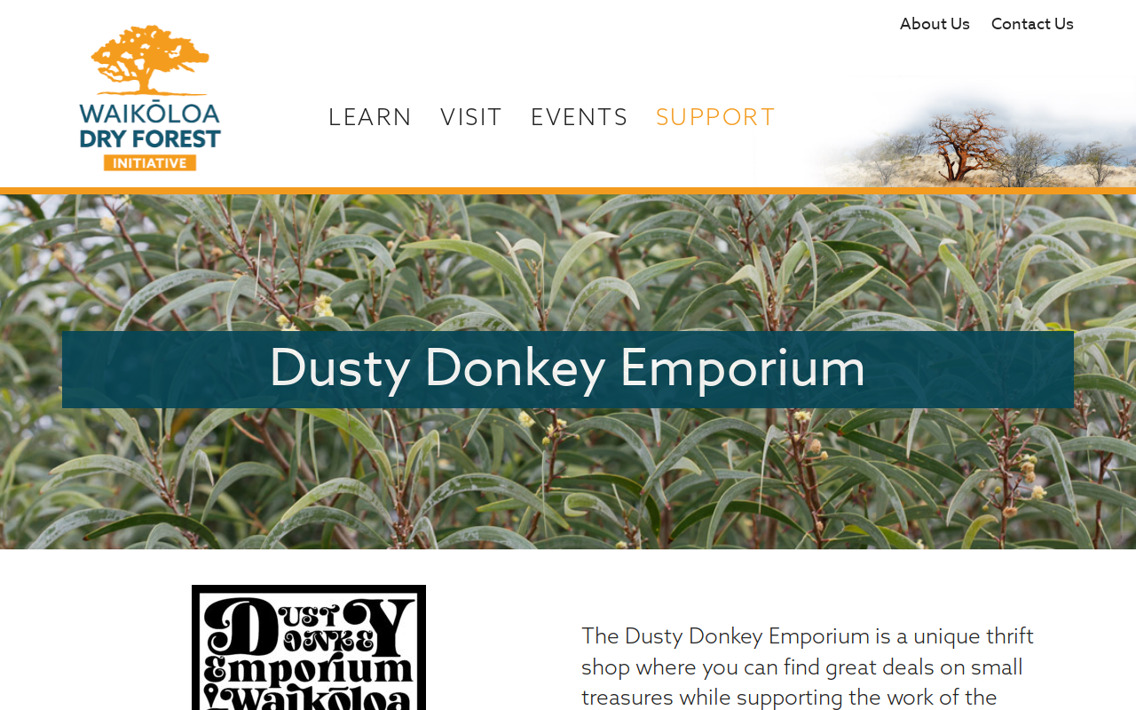 Dusty Donkey Emporium website preview