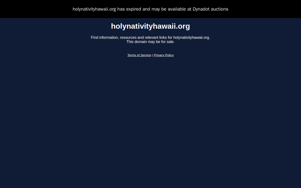 Holy Nativity Thrift Shop website preview