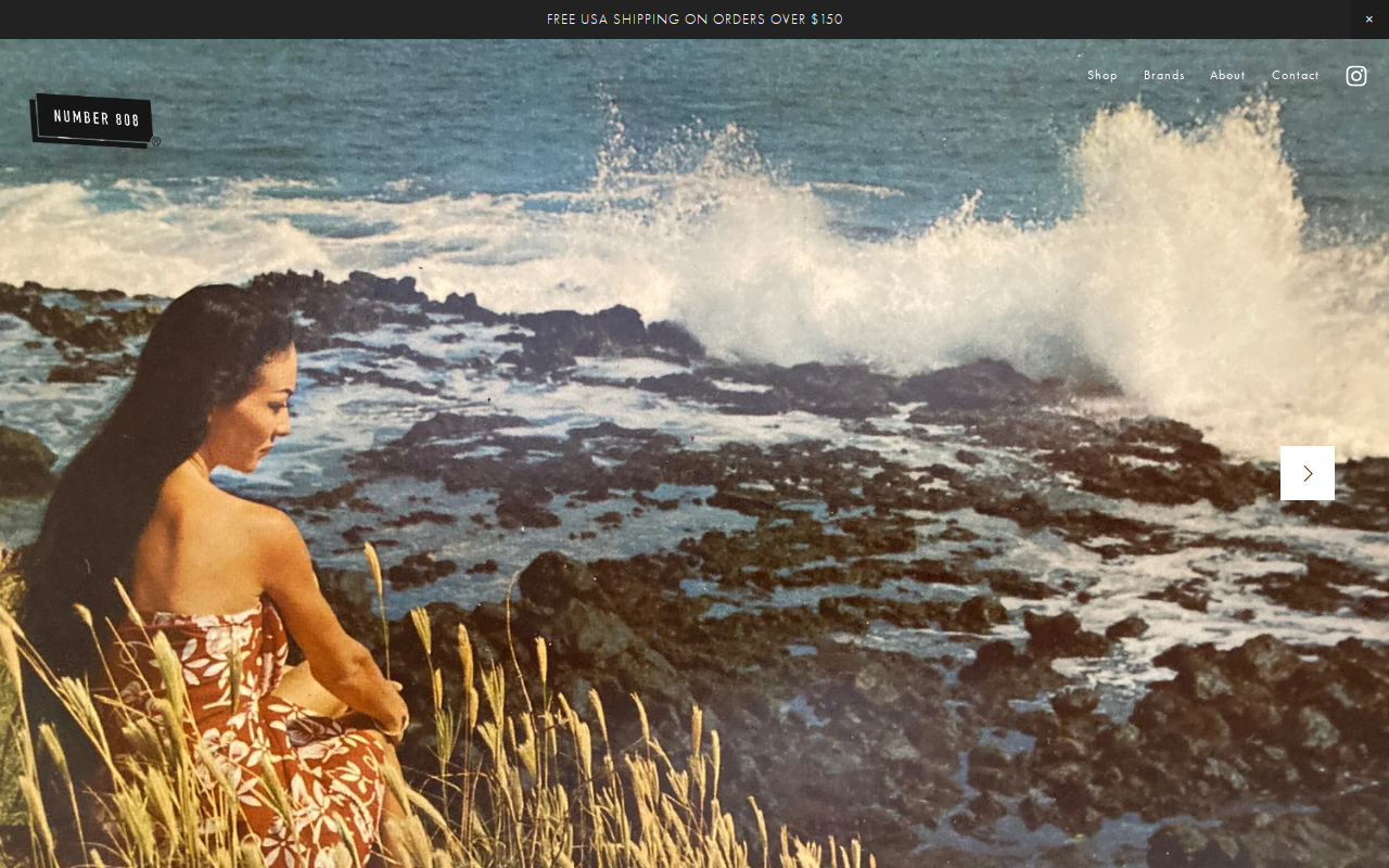 Number 808 website preview