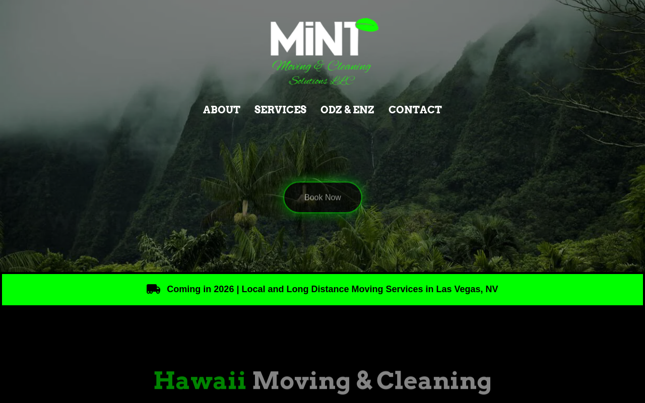 Mint Odz and Enz website preview