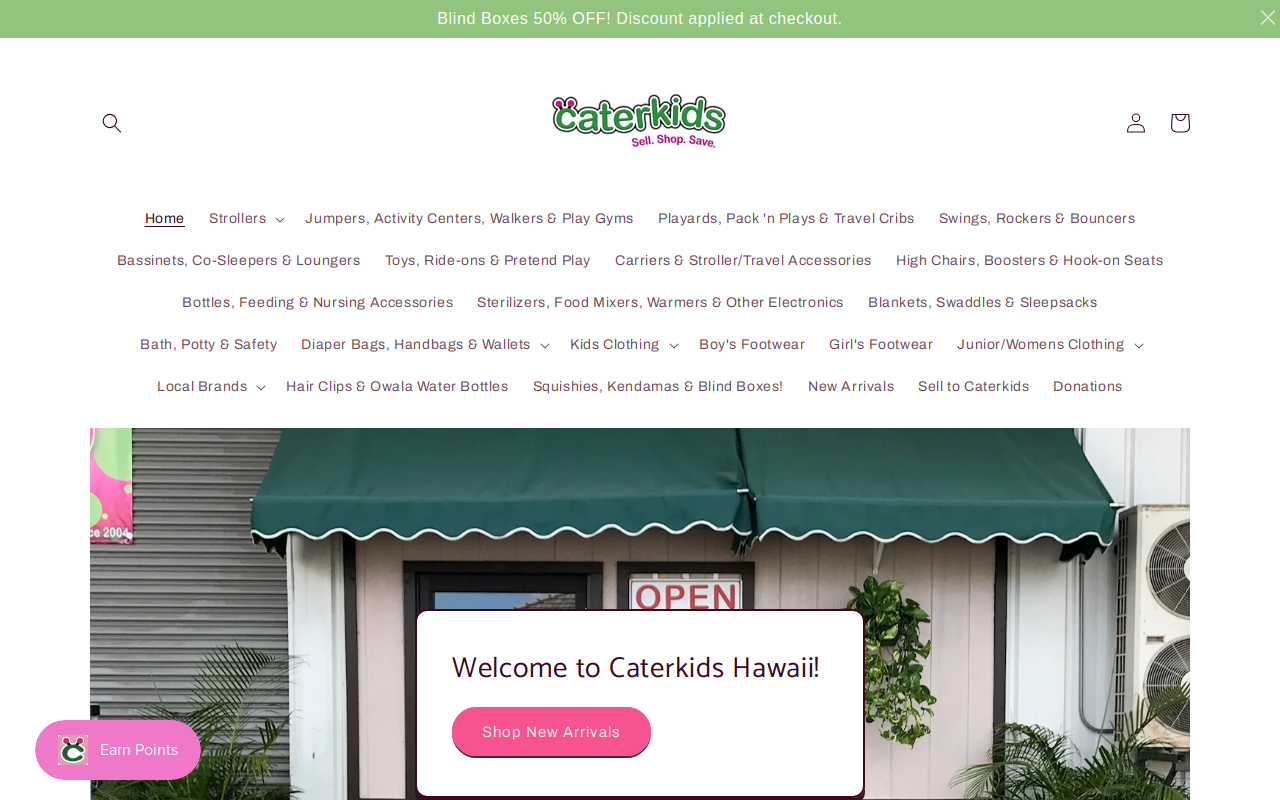 Caterkids Hawaii website preview