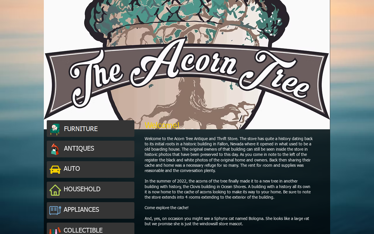 The Acorn Tree website preview