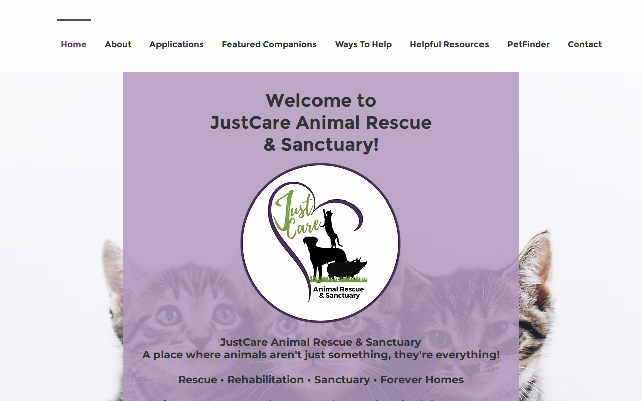 JustCare Thrift Shop website preview