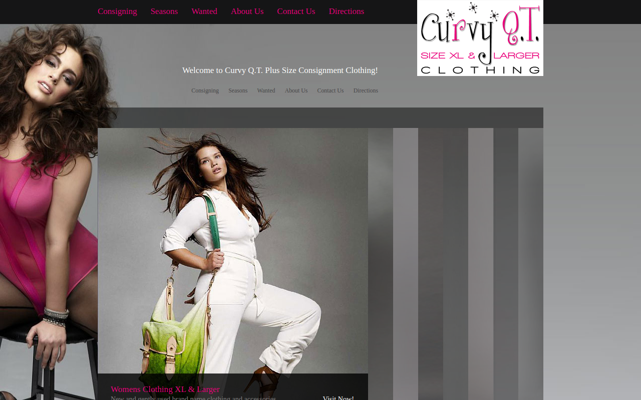 Curvy Q.T. website preview