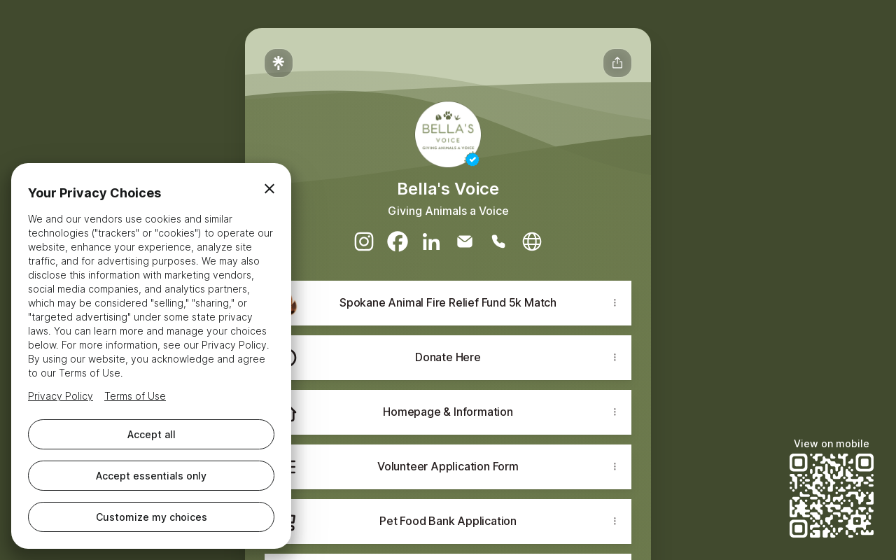 Bella's Voice Thrift Store website preview