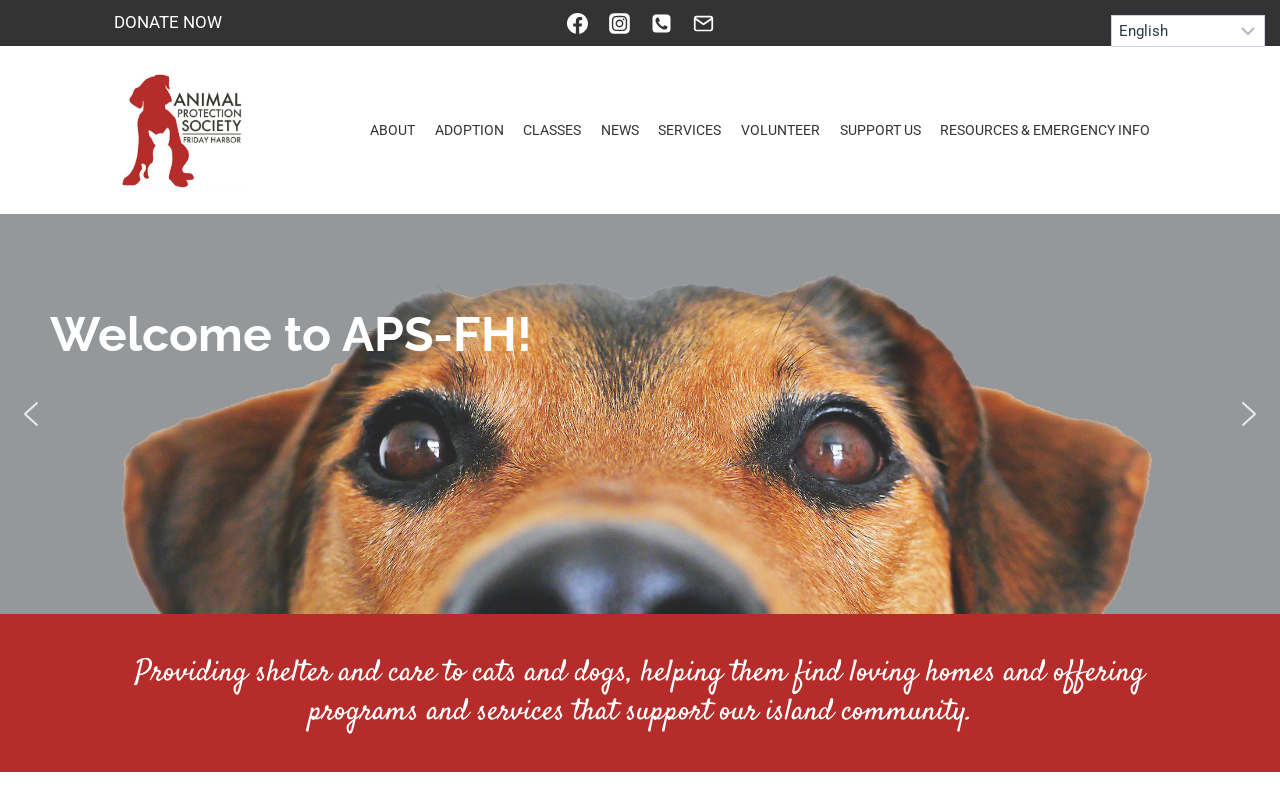 Treasure Hounds Upscale Resale website preview
