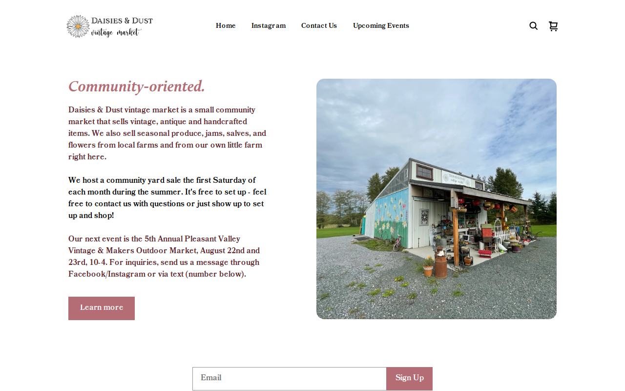 Daisies and Dust Vintage Market website preview
