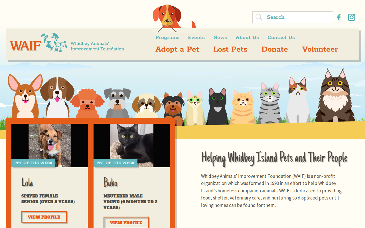 Waif Thrift Store website preview