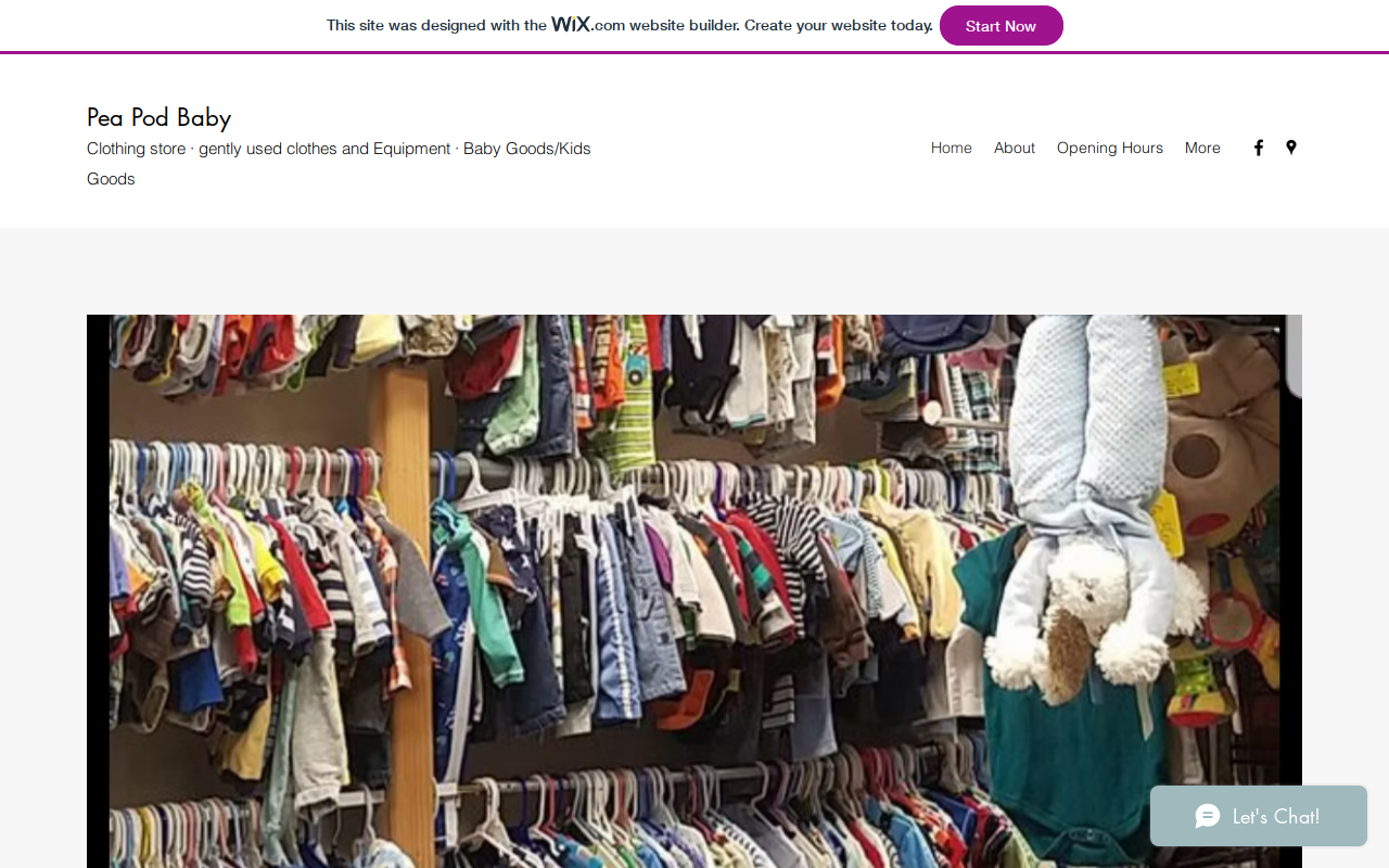 Pea Pod Baby website preview