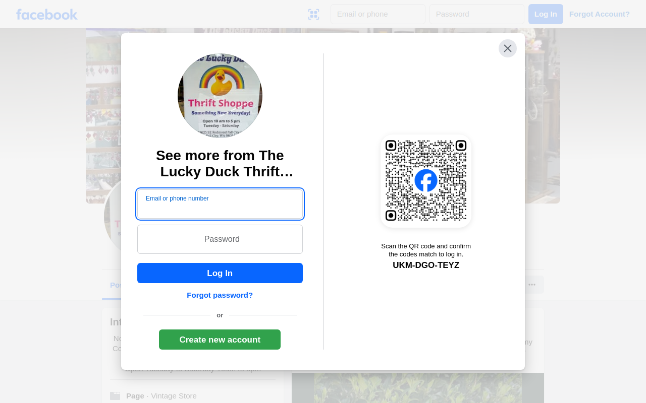 The Lucky Duck Thrift Shoppe website preview