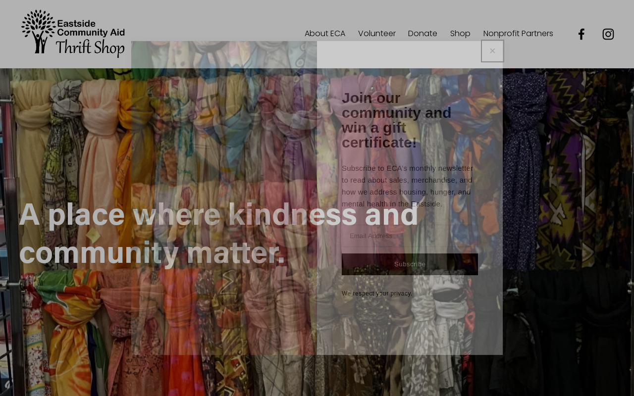 ECA Thrift Shop website preview