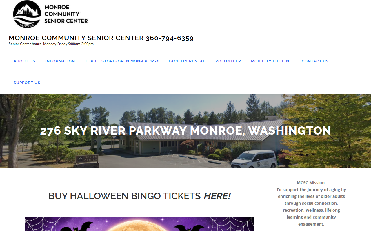 Fabulous Finds Thrift Shoppe website preview
