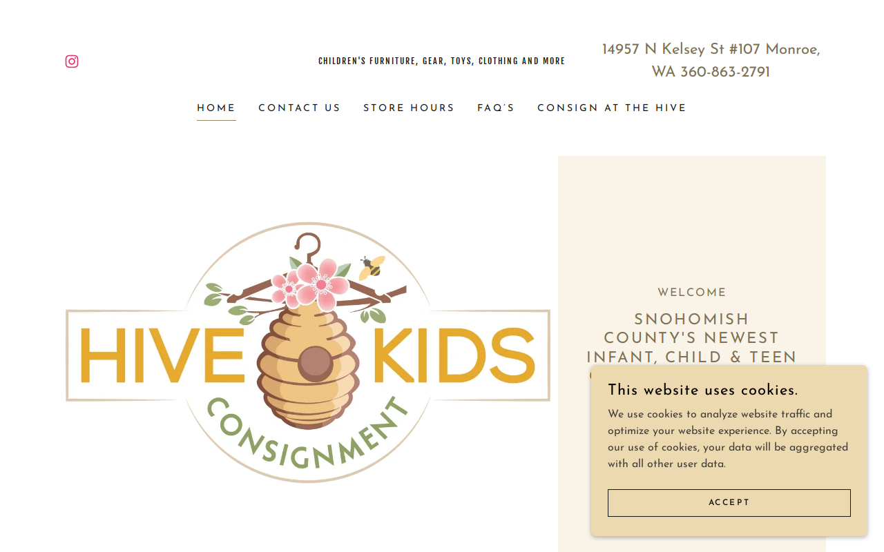 Hive Kids Consignment website preview
