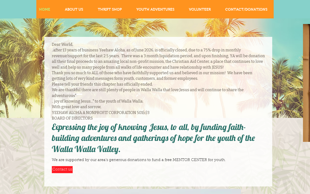 Yeehaw Aloha Downtown Thrift Store website preview