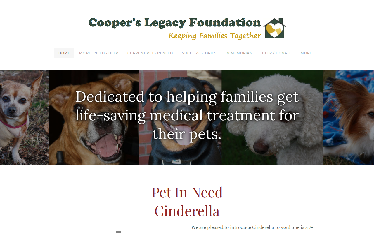 Cooper's Legacy Foundation website preview