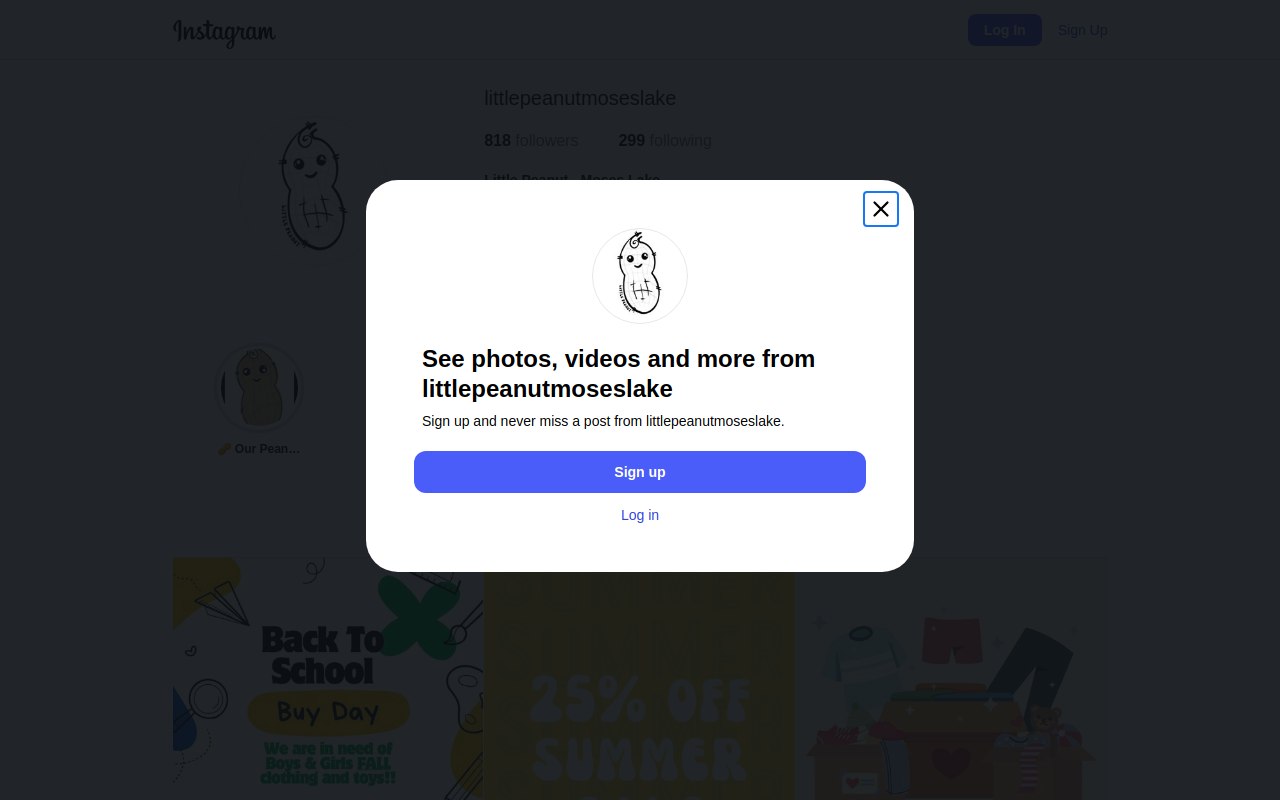 Little Peanut website preview