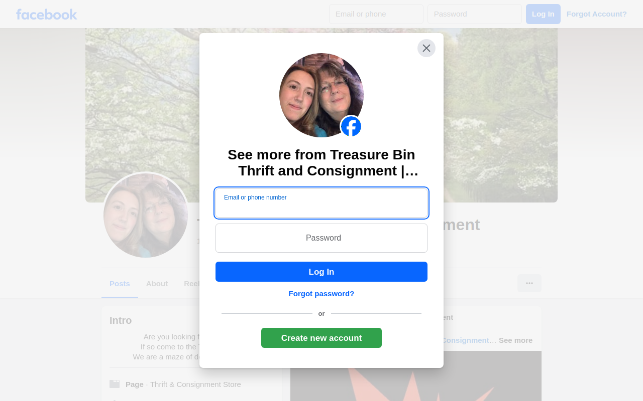 Treasure Bin Thrift and Consignment website preview