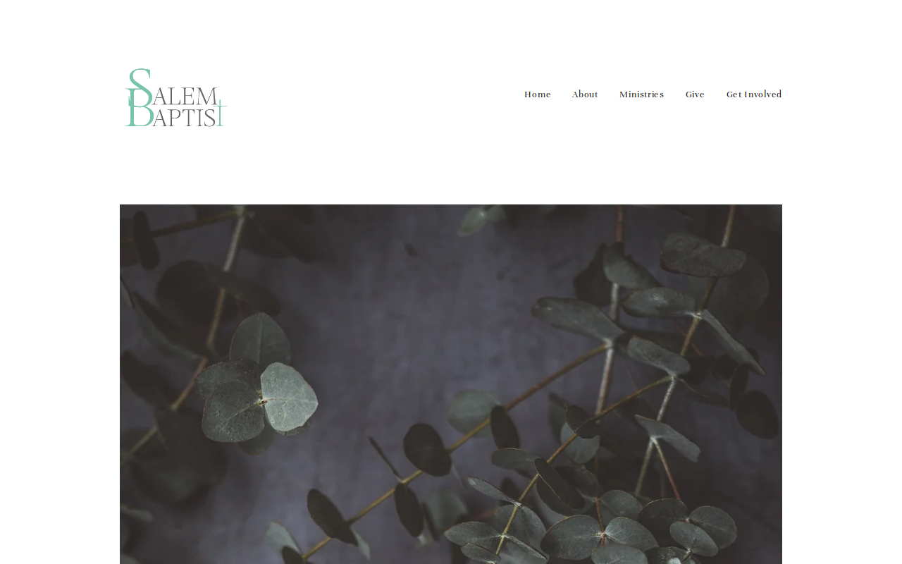 Haley Reedd website preview