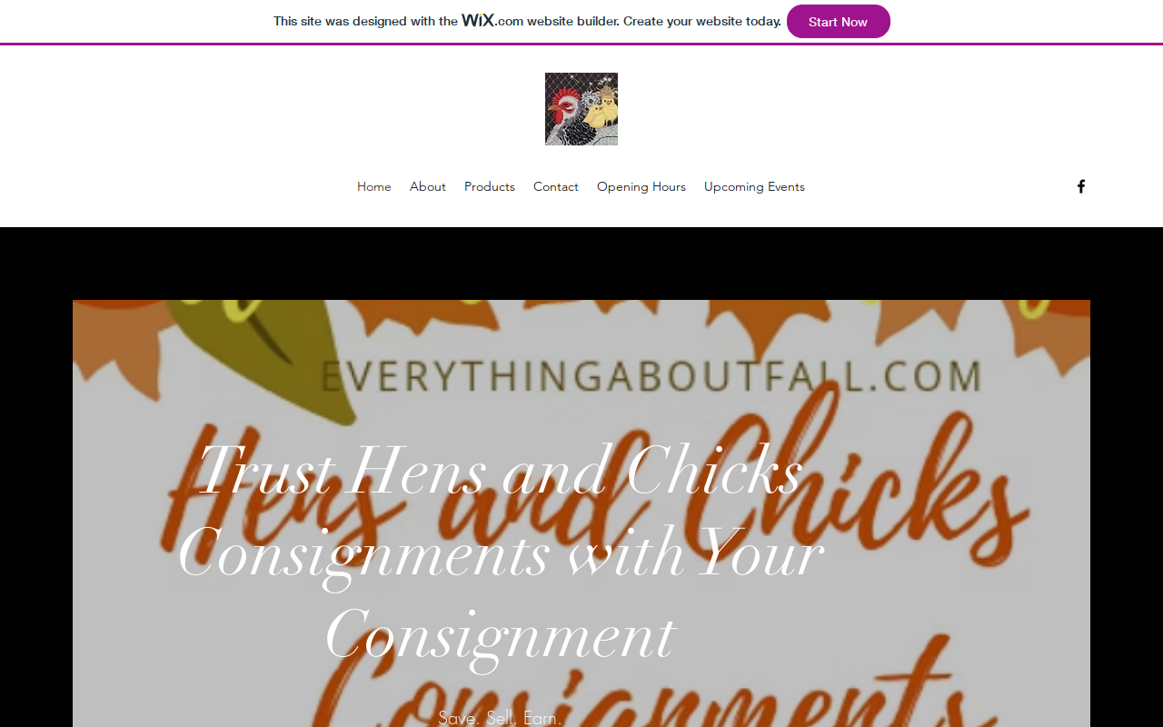 Hens and Chicks Consignments website preview