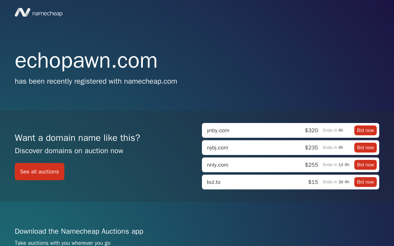 Echo Pawn website preview