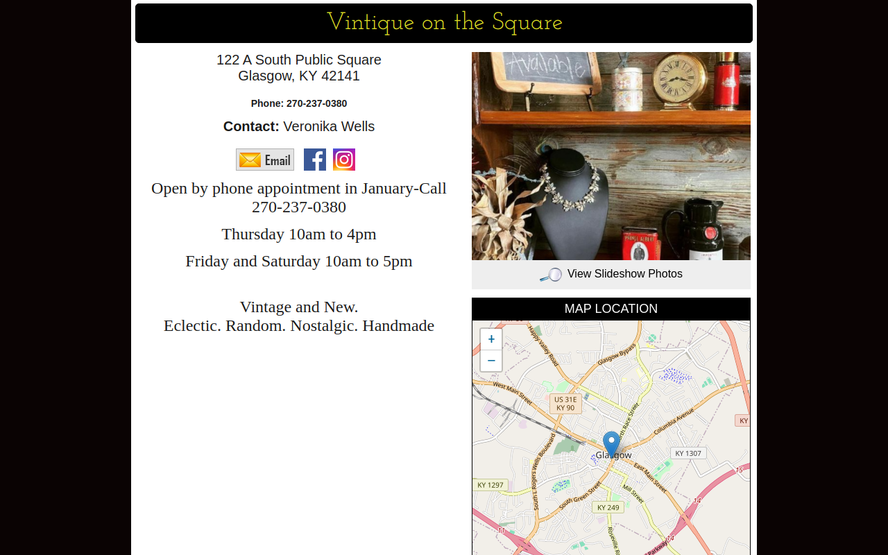 Vintique website preview