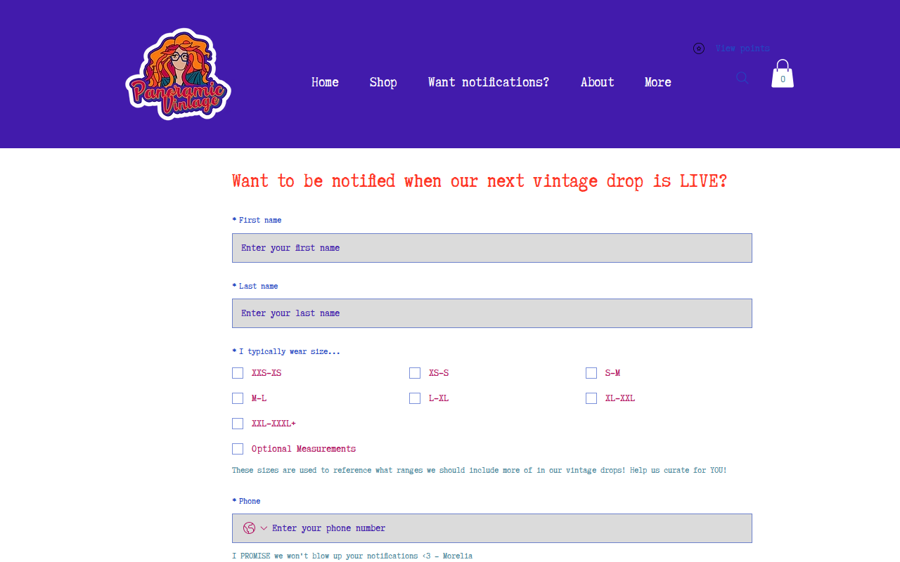 Panoramic Vintage website preview