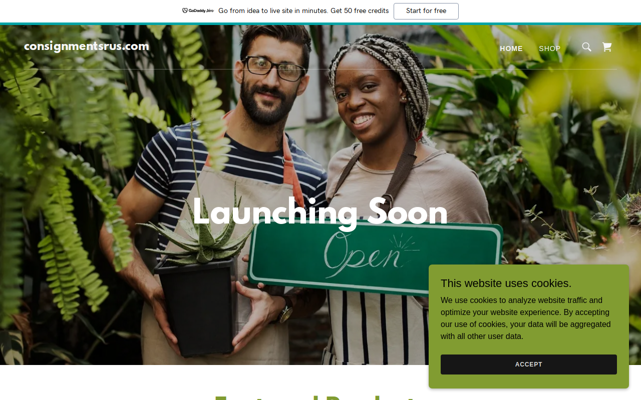 Consignments R US website preview