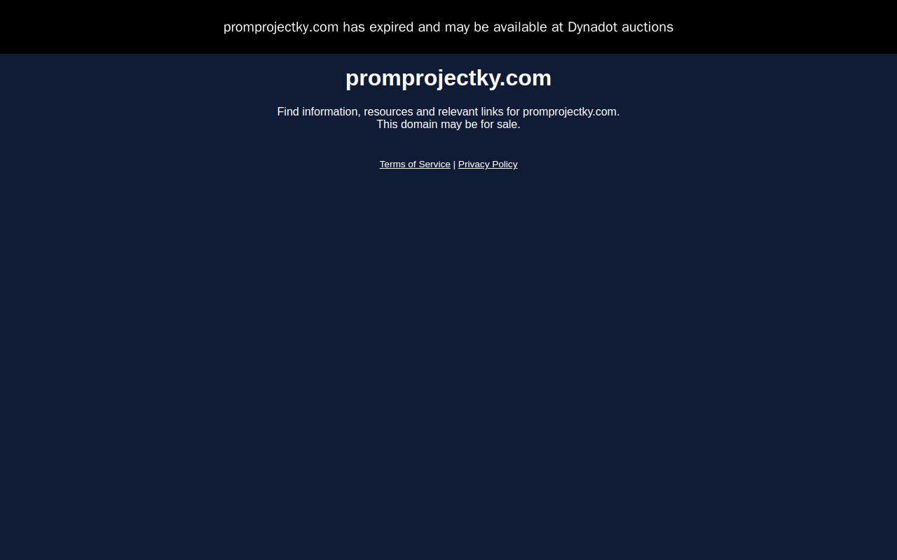 Dress for Less Consignments website preview
