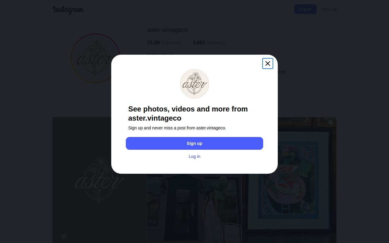 Aster - Louisville, KY website preview