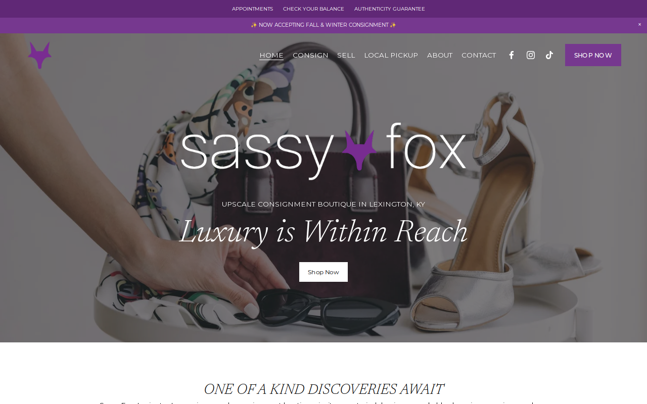 Sassy Fox website preview