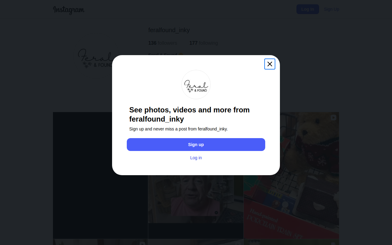 Feral & Found website preview