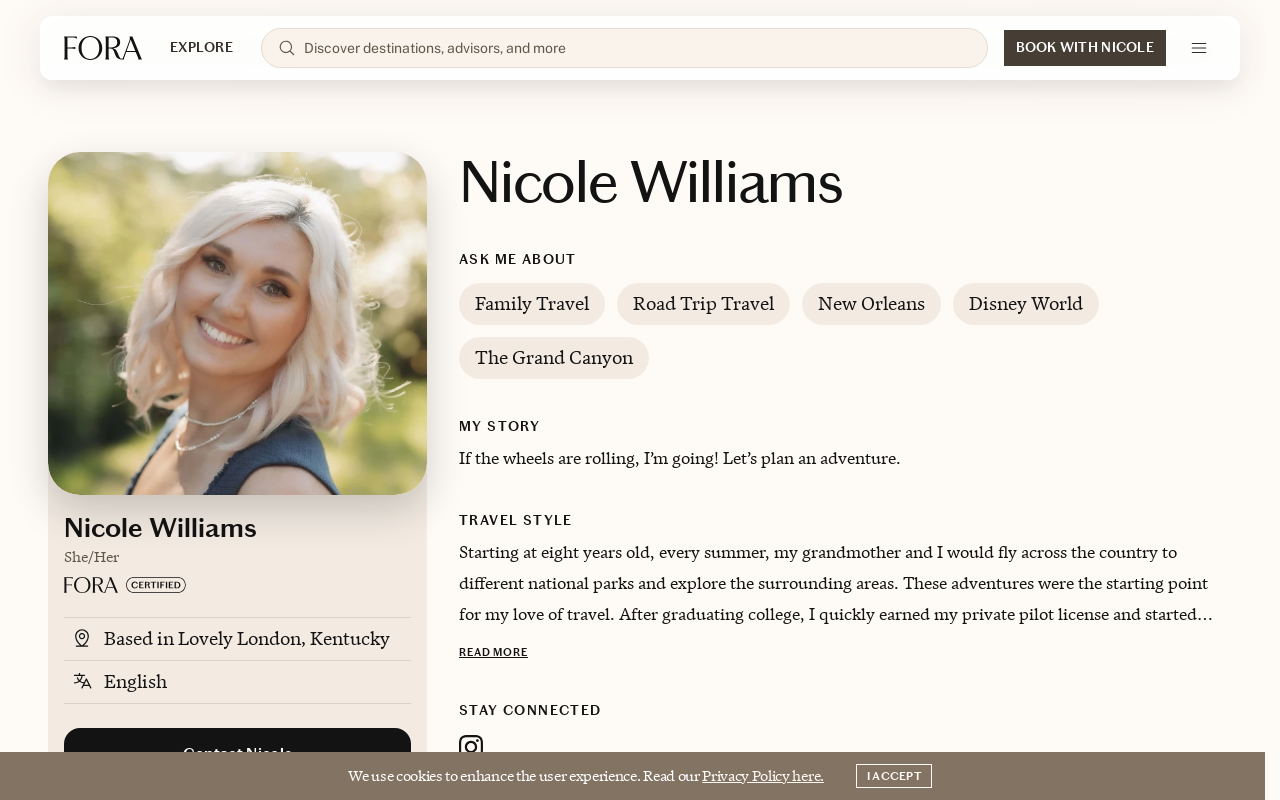 Platinum Pilot Travels website preview