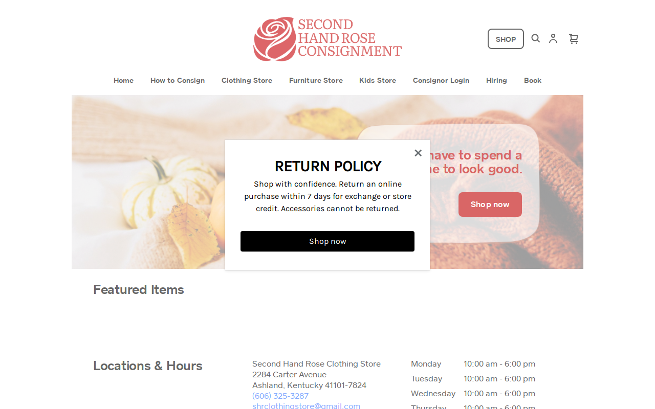 Second Hand Rose Kids Consignment website preview