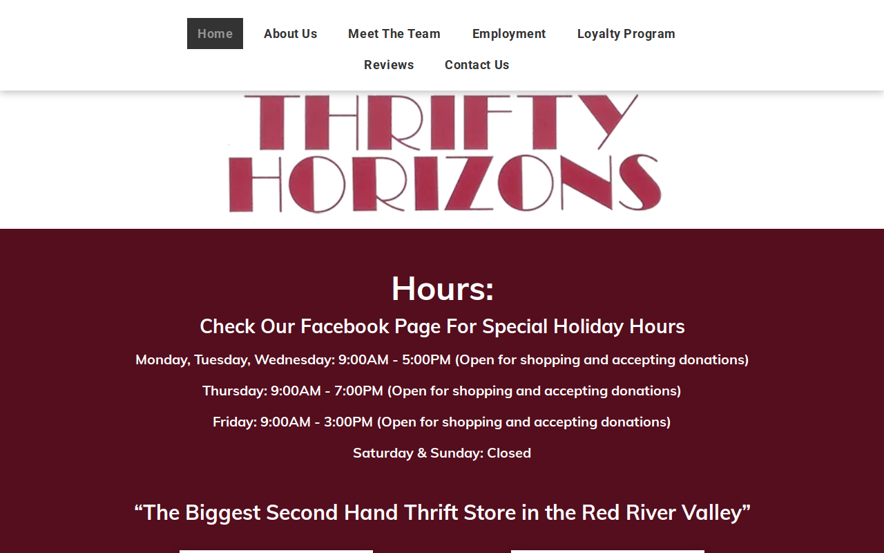 Thrifty Horizons website preview