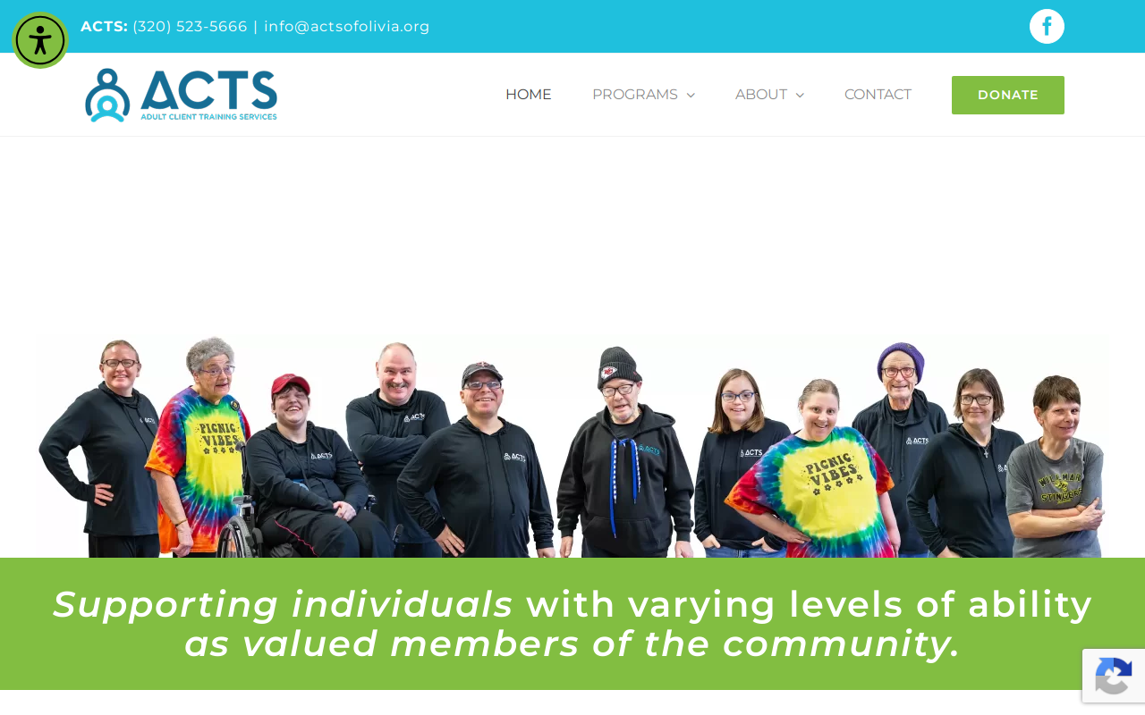 Acts, Etc. website preview