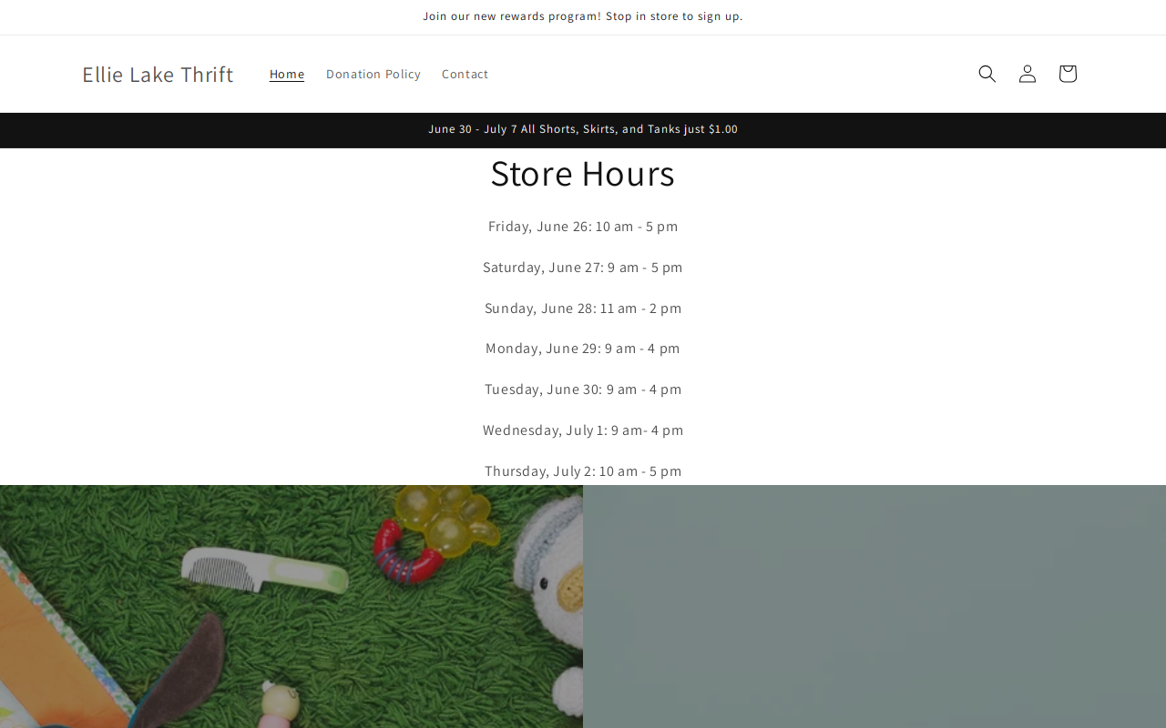 Ellie Lake Thrift website preview
