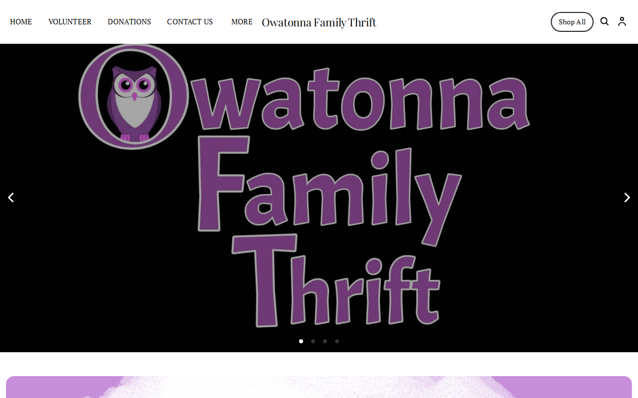 Owatonna Family Thrift North website preview